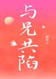 与兄书txt全集无弹窗