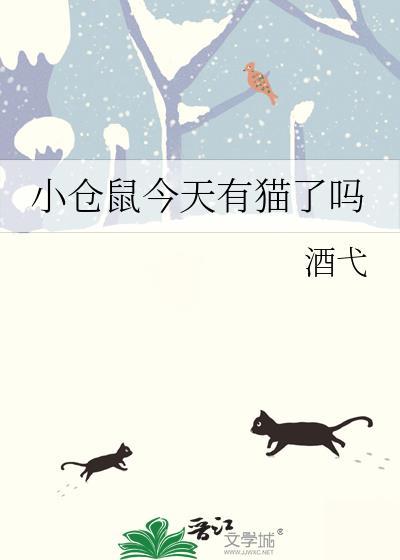 小仓鼠第1天到家说这是你家吗视频
