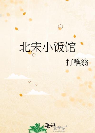 北宋小厨师无弹窗免费阅读