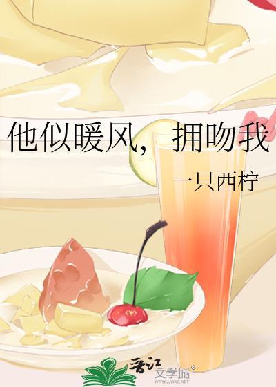 他似温柔风免费阅读