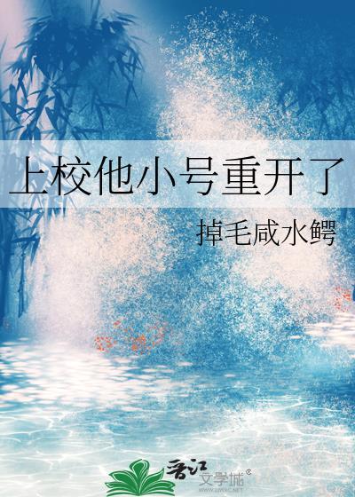 上校的小夫人全文阅读