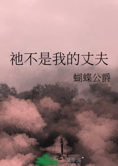 不是丈夫免费