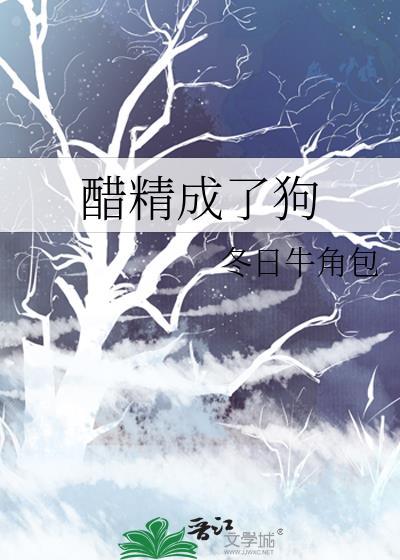 醋精txt