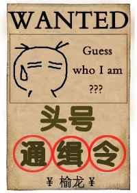头号通缉犯无删减
