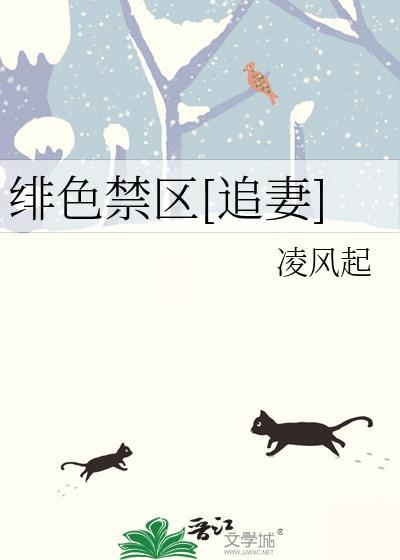 绯色禁区讲的什么