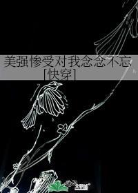 综英美乙女攻略