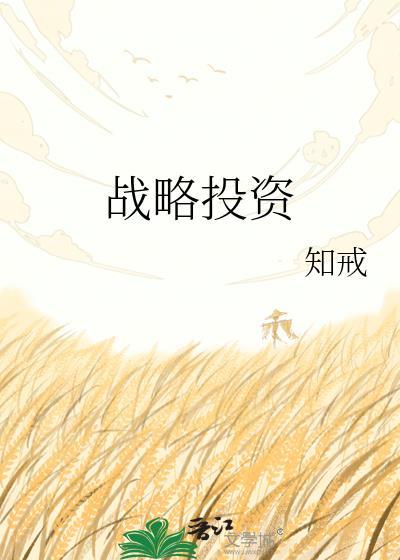 战略投资大白话解释