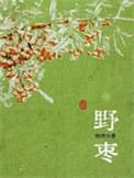 野枣txt百度分享