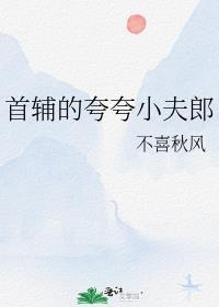 首辅小夫郎