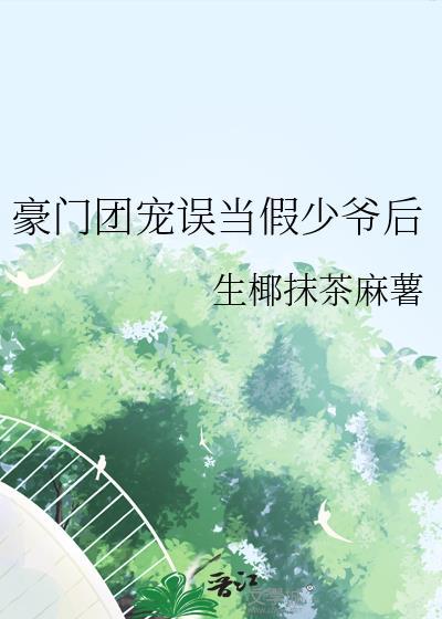 豪门团宠小少爷免费阅读