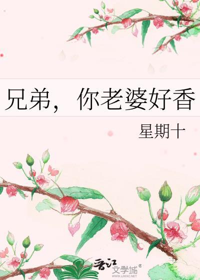 兄弟你娶我老婆吧TXT