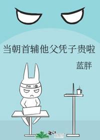 当朝首辅他父凭子贵啦在线阅读