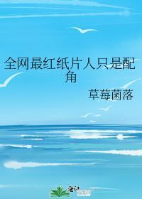 网络语言纸片人是什么意思