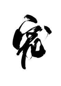 失忆后白月光成了替身全集免费