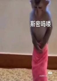 泡芙小姐完成大帽险