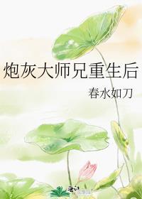 炮灰大师兄大结局