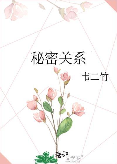 秘密关系电视剧台版