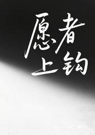 愿者上钩全文阅读无弹窗