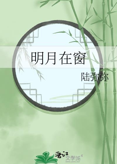 明月在窗陆弥弥书评