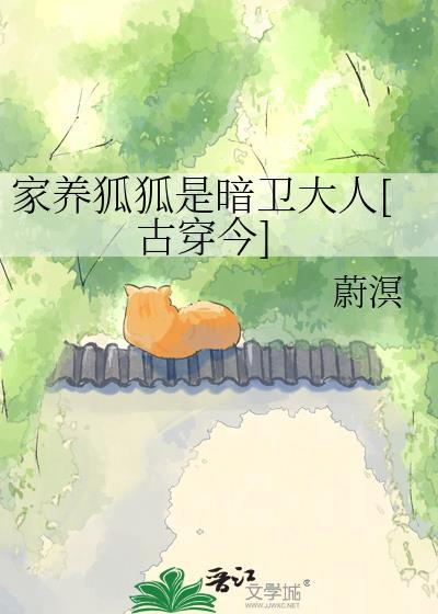 家养狐狸的10个品种图片