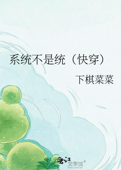 系统b