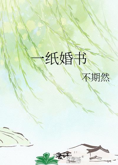 一纸婚书终止深情的原著