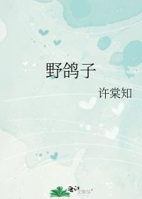 野鸽子是几级保护动物