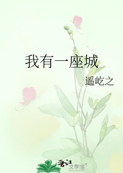 我的心有一座城