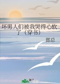 坏男人们2