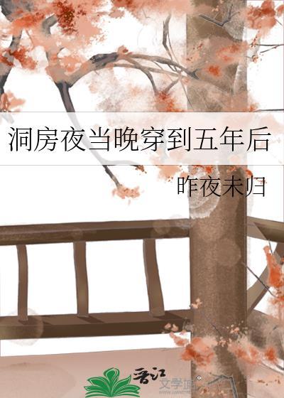 穿到洞房花