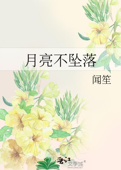 不落的月亮