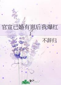 官宣已婚有崽后我爆红了by不辞归t百