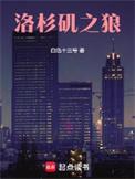 洛杉矶之狼精校版TXT