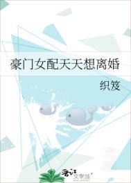 豪门女配天天闹离婚免费阅读