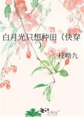 白月光种田甜爽文推荐