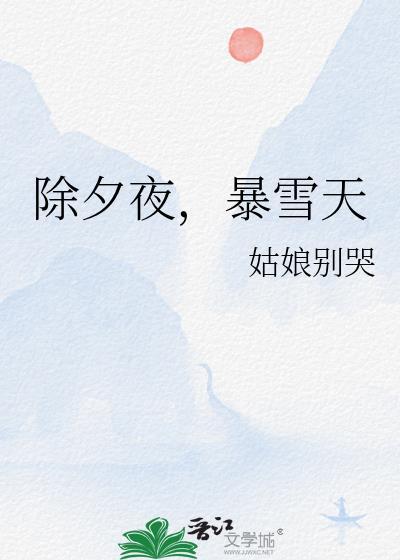 除夕夜暴雪天txt盘