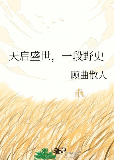 天启简介