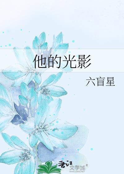 他的光影 txt