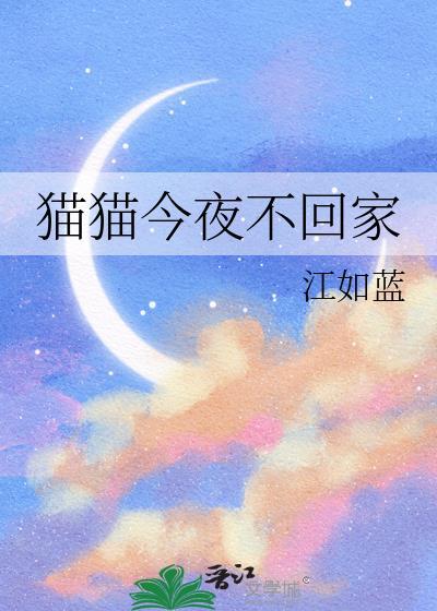 猫为什么晚上不回家