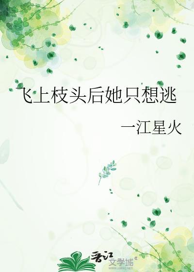 飞上枝头推文