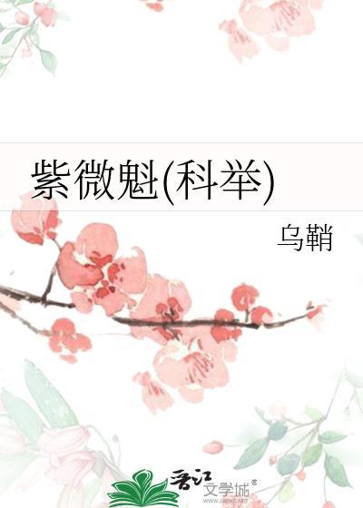 紫微hd