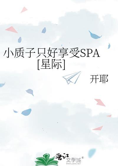 小质子