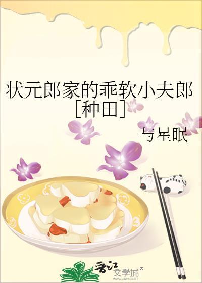 状元家的小夫郎txt百度
