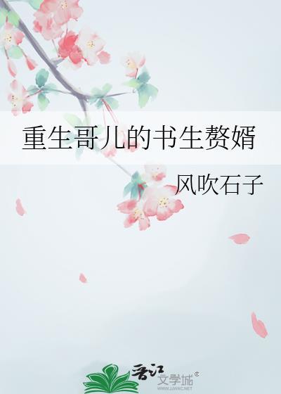 重生的哥儿文