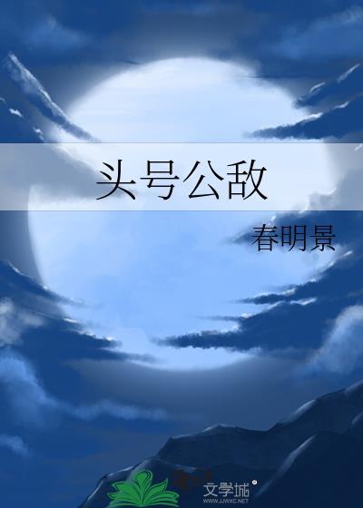 头号公敌豆瓣评分