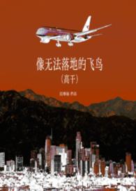 无法离地的飞行歌词