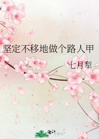 坚定不移做个路人甲txt