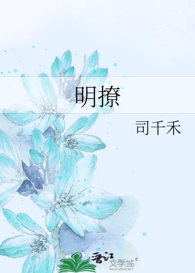 明阳电气股票