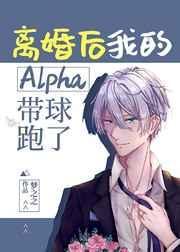 离婚后我的alpha带球跑了内容简介