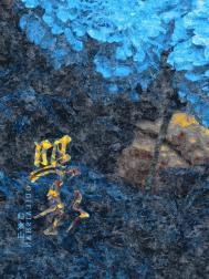 照影和磁共振有啥区别